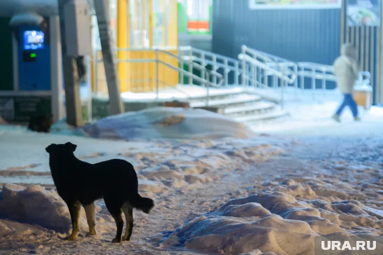 Компенсация морального вреда составила всего 10 тысяч рублей 