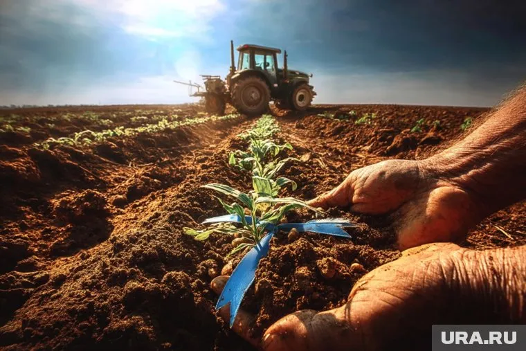 Максимальный размер поддержки составляет 3,5 млн рублей