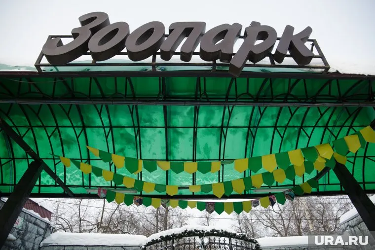 Зоопарк на улице Монастырской официально ушел в историю