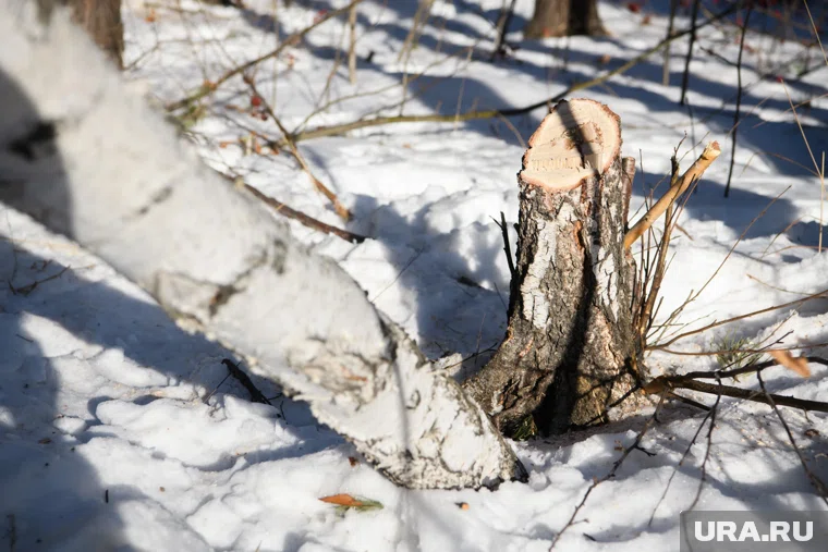 Тело женщины со следами пыток нашли у дороги