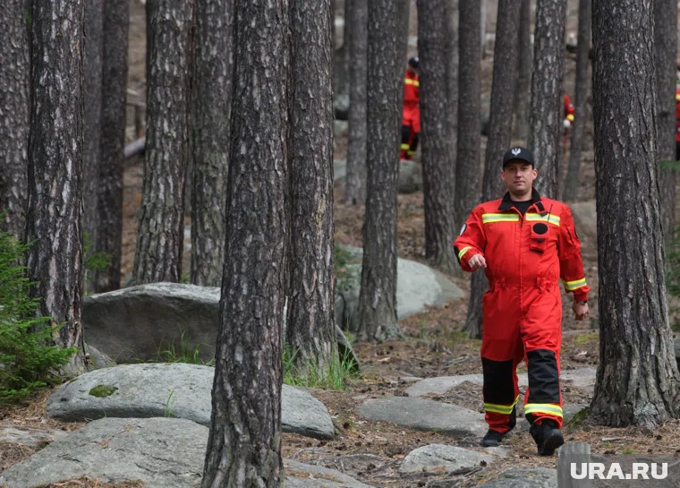 Спасатели возобновили поиски семьи Усольцевых в труднодоступной местности Красноярского края