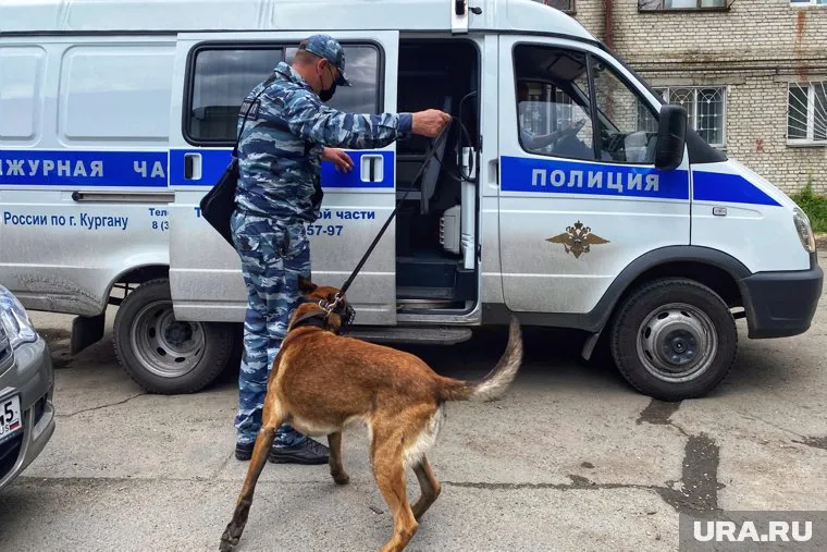 Кинологи проверяют десятки школ и других зданий