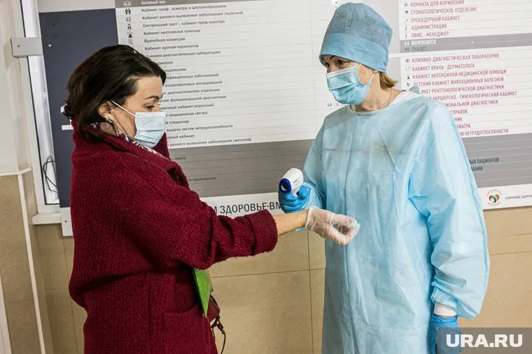 В России циркулирует H3N2, H1N1 («свиной»), грипп В, отметил Виталий Зверев