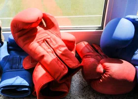 Главный судья сделал заявление о массовой потасовке на соревнованиях по рукопашному бою в Сургуте