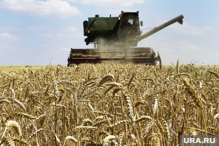 Власти Курганской области отчитались о кратных успехах в сельском хозяйстве