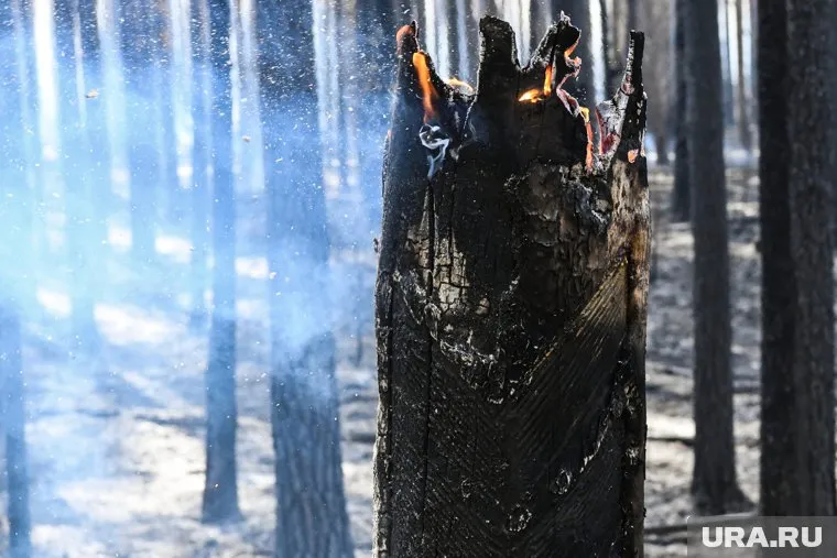 В Минприроды назвали ситуацию крайне напряженной