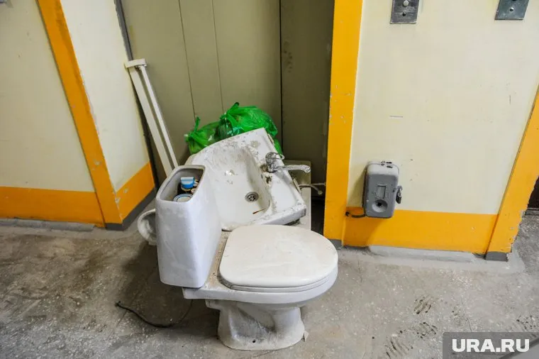 В Копейске жители смывают в унитаз бытовые отходы и трупы животных