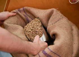 Рушим стереотипы эпохи Брежнева