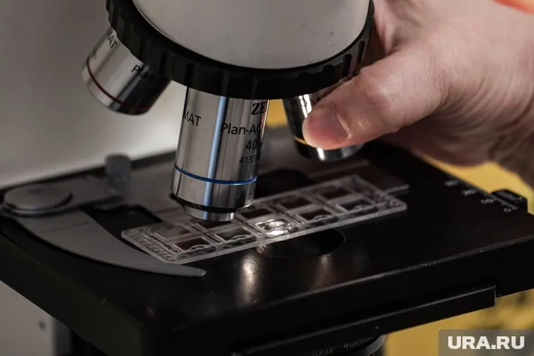 Тест-система совместима с оборудованием зарубежных производителей: Olympus, Leica, Zeiss и другими (архивное фото)