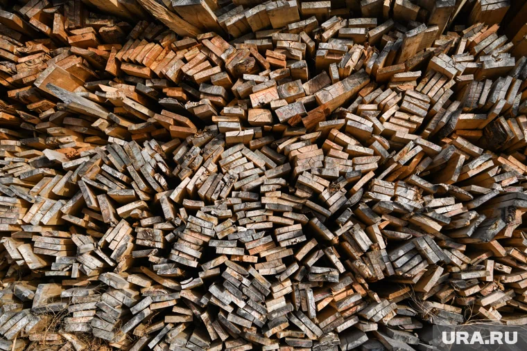 Крупнейший добытчик леса Тюменской области принес прибыль лишь раз за семь лет