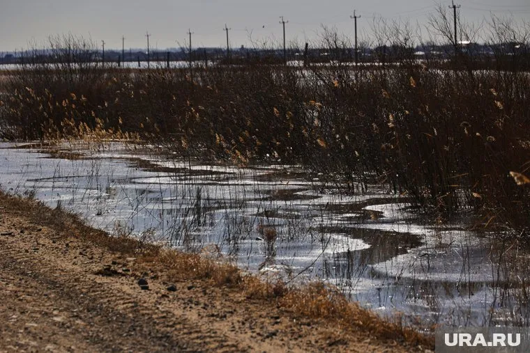 Пик уровня воды в реке Ишим ожидается в ближайшие несколько дней