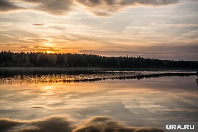 Ребенок не смог понять, кто напал на него в воде