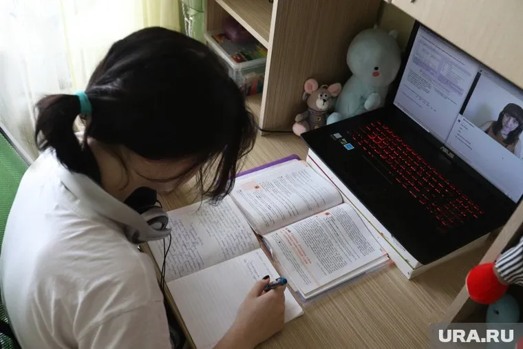 У преподавателей, родителей и самих учеников множество претензий к дистанционному образованию