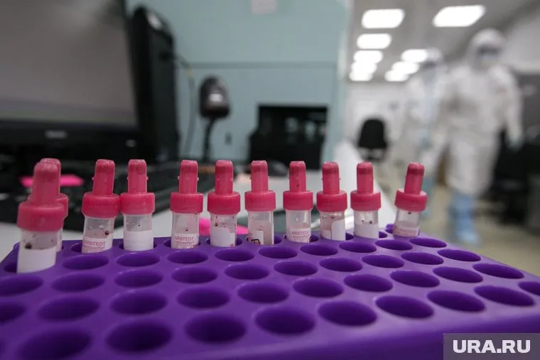 Штамм «Дельта плюс» имеет две мутации