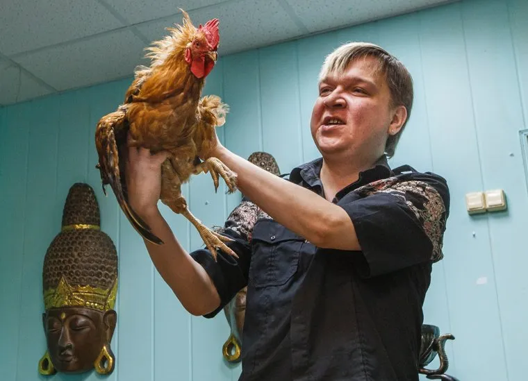 Антон Симаков. Ритуал уничтожения Порошенко с жертвоприношением, симаков антон, петух