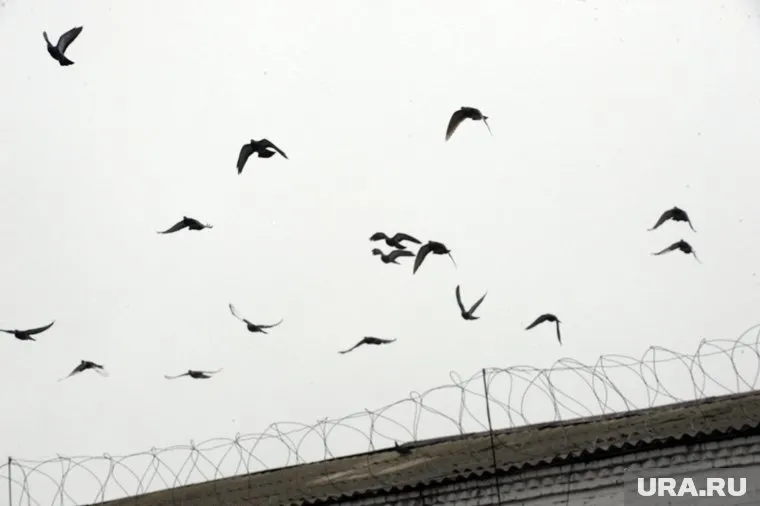 Суд вновь перевел Высокова в СИЗО