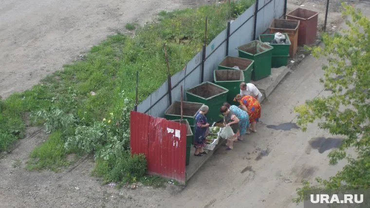 Комментаторы в соцсети предположили, что рыться в мусорных баках пожилых людей заставила нищета