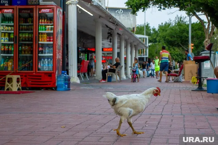 Турция начинает принимать российских туристов с 22 июня