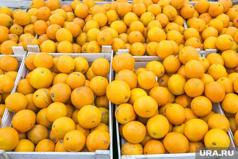 Цитрусовые снижают содержание гормона стресса в крови, сказала Дарья Русакова