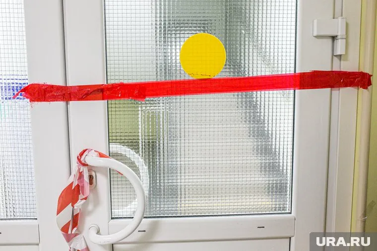 Институты развития тратили деньги на свое содержание, а не на помощь, считает эксперт