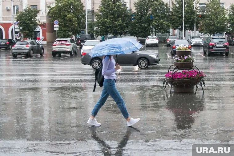 Жителям региона рекомендуется не выходить из дома во время сильного ветра и запрещено посещать леса