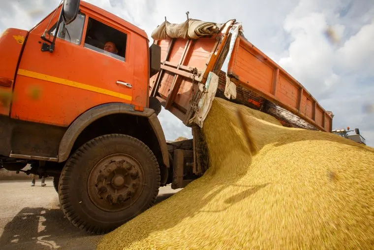 Начало уборочной кампании. Сельхозугодья Белоярского района. Екатеринбург