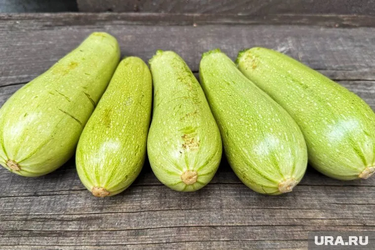 Стоимость кабачков достигла 299 рублей