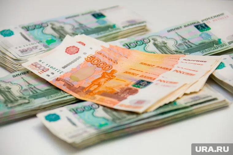 Камнем преткновения стали доходы депутата