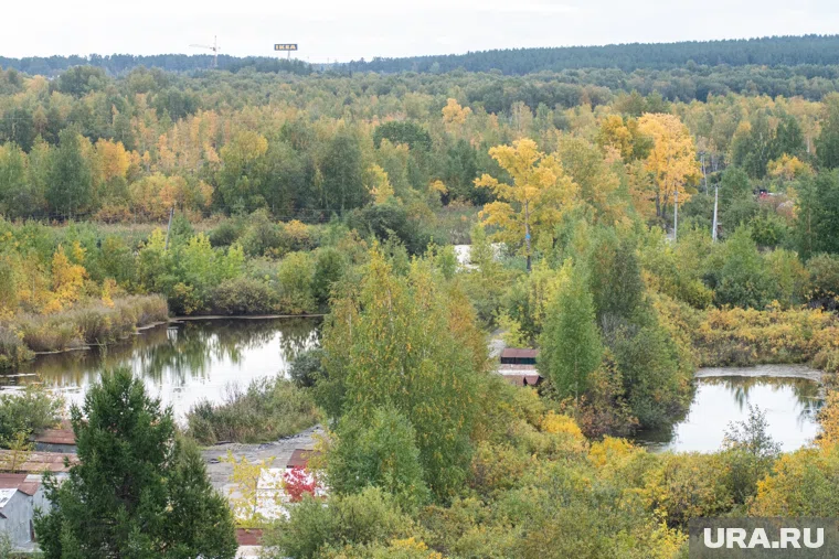 Компания должна была перенести пожарный водоем