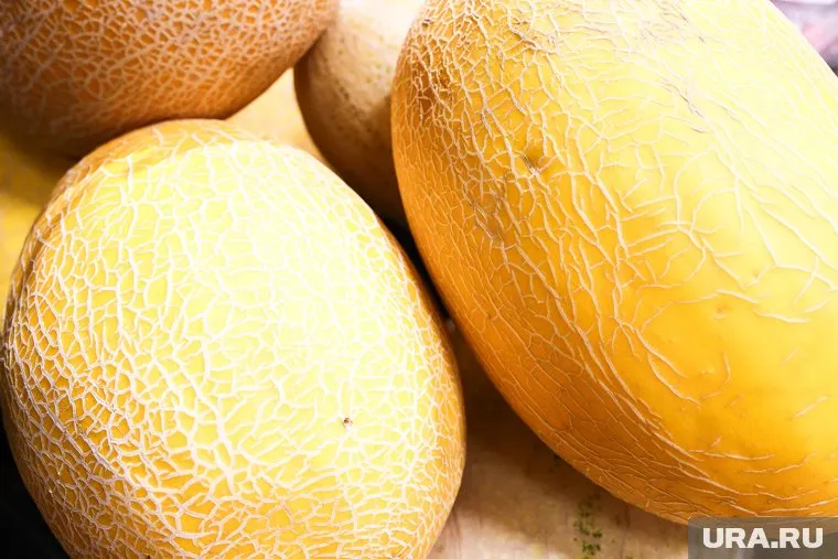 От хороших дынь должен исходить приятный запах
