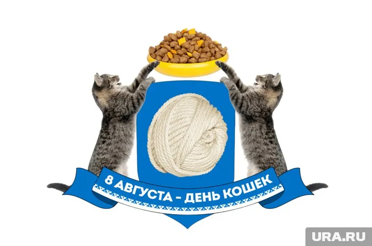 С Днем кошек, ямальцы!