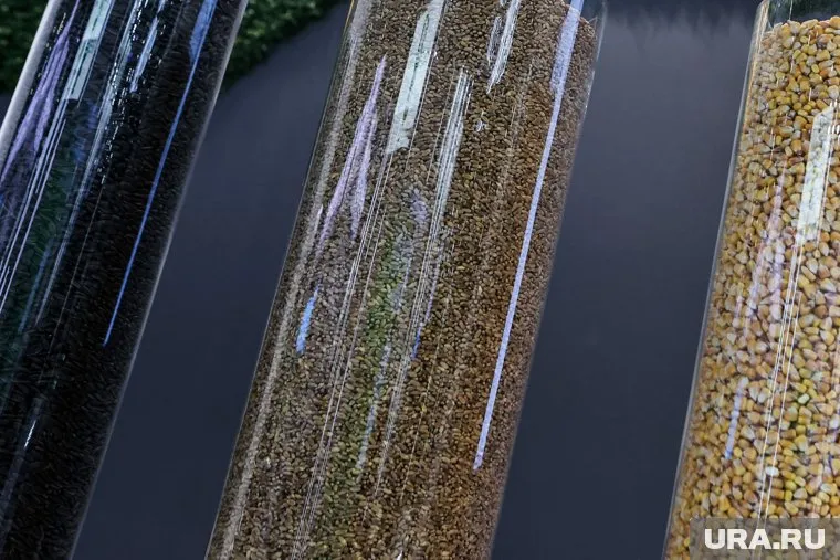 В МИД РФ назвали бесполезной зерновую сделку из-за стран Запада