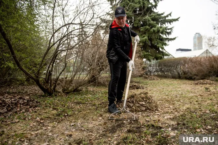 Алексей Орлов прибыл на субботник с опозданием — из-за посадки яблонь в саду Павлика Морозова