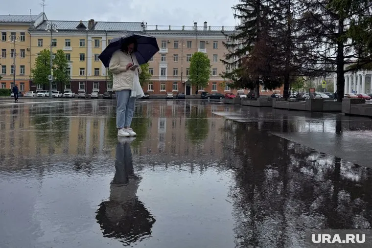 Конец июня в Кургане будет дождливым и прохладным