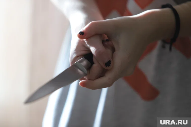 Инцидет произошел во время новогодних праздников