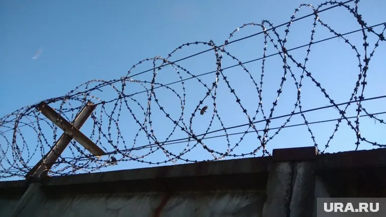 Украина уже построила 3 км забора на границе с Беларусью