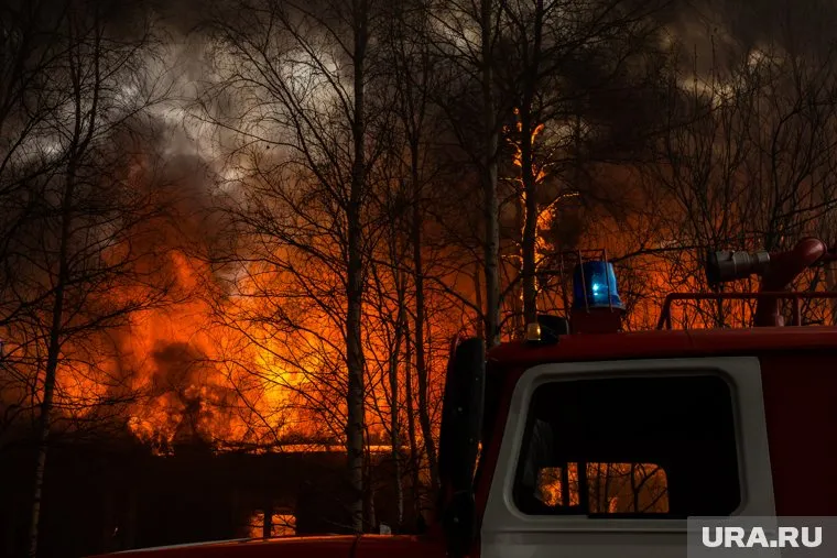 Иркутская область ждет четких данных от Генпрокуратуры, которая обвинила власти в искажении информации о лесных пожарах