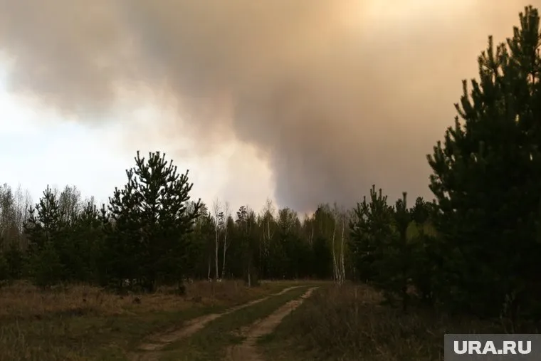 Ущерб от пожара составил 52 гектара (архивное фото)