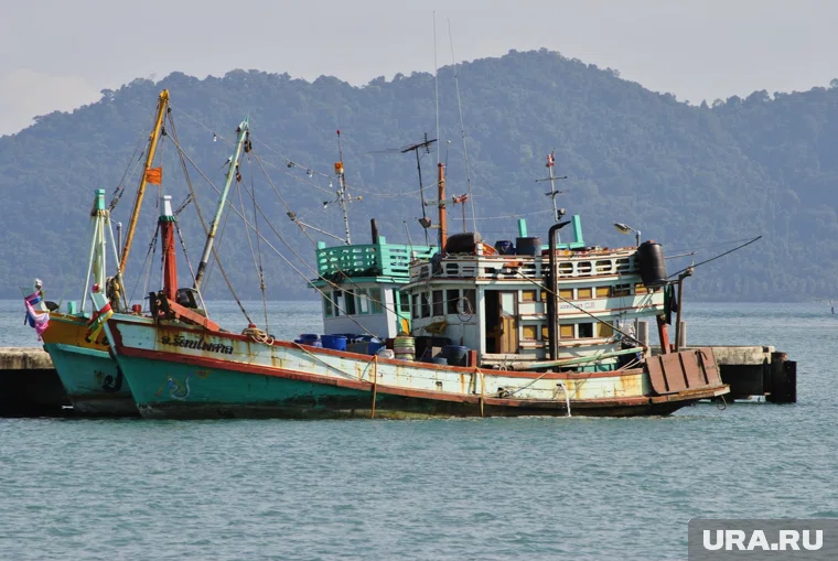 Людей, похожих на Усольцевых, якобы видели садящимися на паром до Малайзии