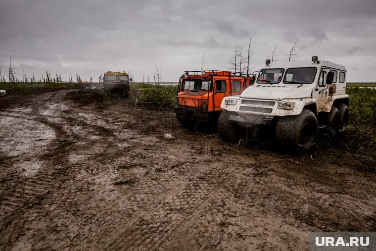 Тело нашли в тундре неподалеку от селе Шурышкары (архивное фото)