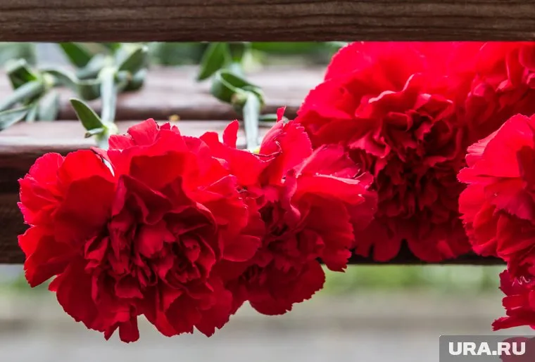 Дата прощания с погибшим на Украине пермяком пока не назначена