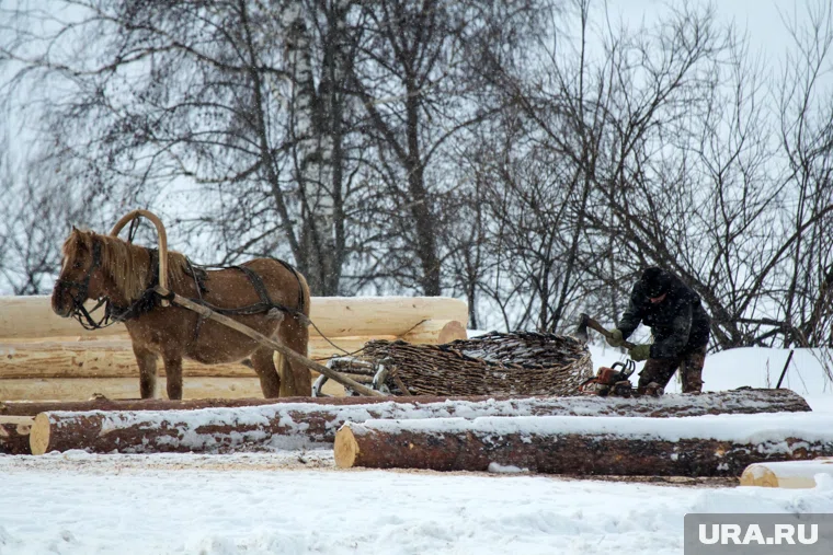 Наши предки в этот день готовились к зиме и ухаживали за скотом