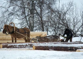 Народные приметы 2 декабря: как уберечься от темных сил в Авдеев день