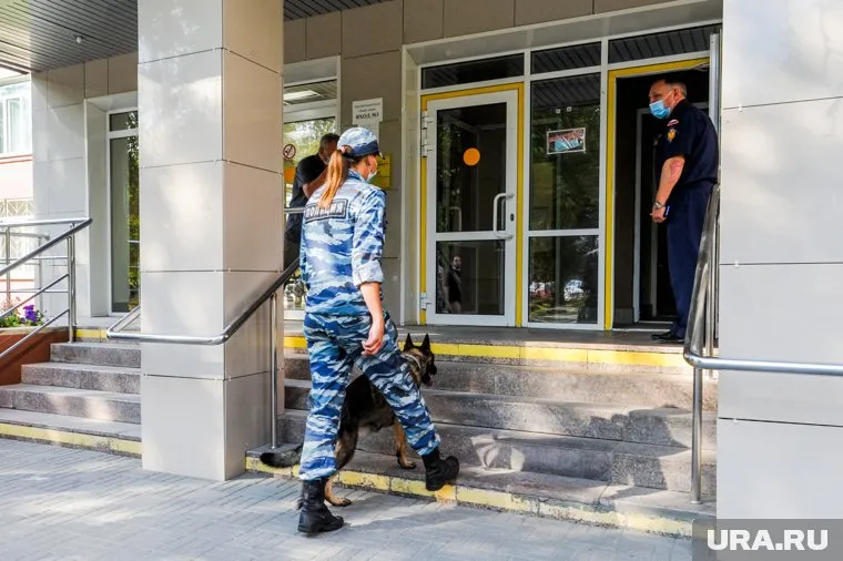 В СК узнали из соцсетей о планируемых нападениях на школы