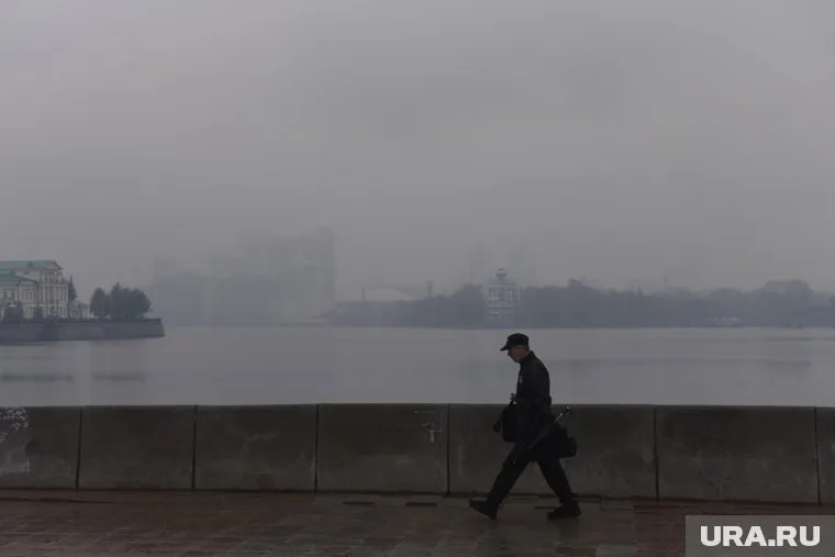 Московский врач напомнил, что смог может провоцировать аллергические реакции