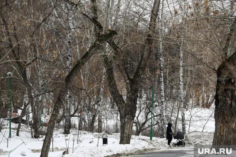 В Югорске расширят в 2023 году расширят кладбище и благоустроят парки