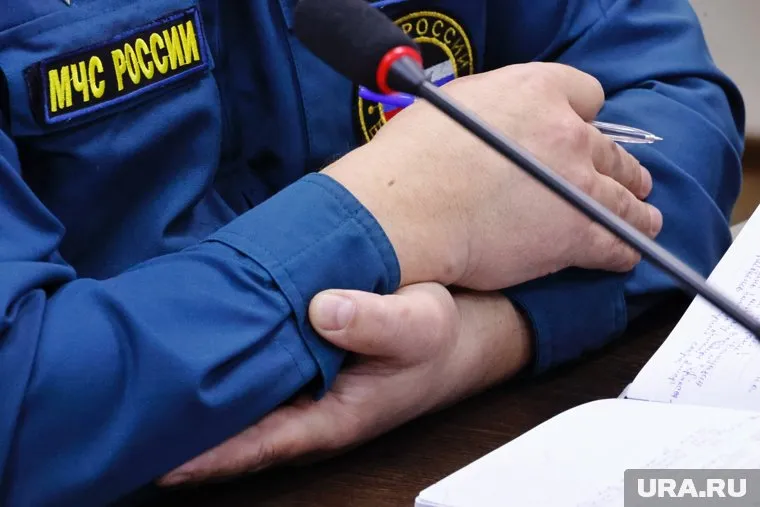 В МЧС РФ сообщили о семи пострадавших при пожаре в Подмосковье