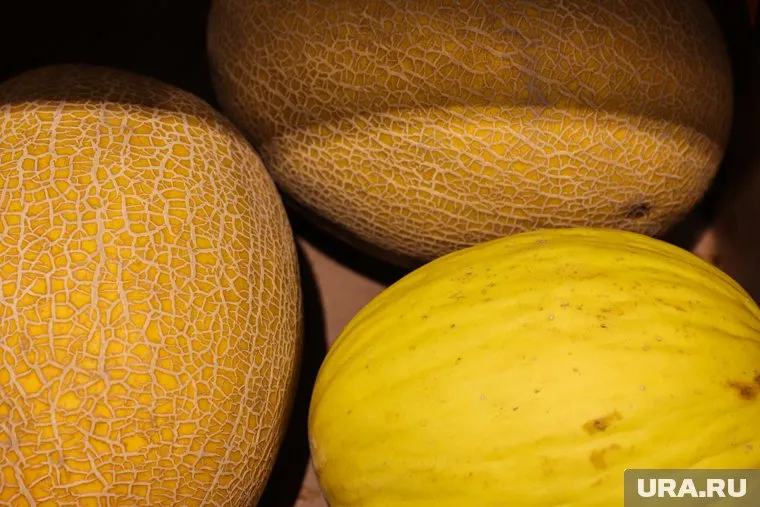 Жаровская заявила, что дыня помогает бороться с отеками благодаря своему минеральному составу