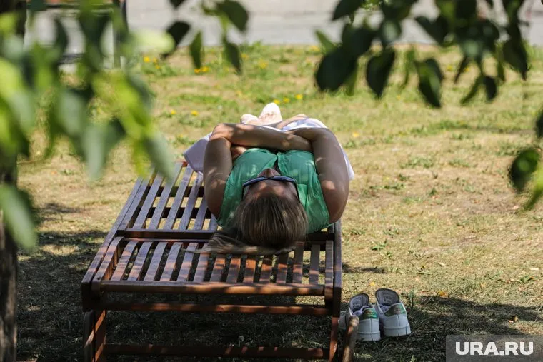 Вильфанд раскрыл, чем грозит жара Прикамью