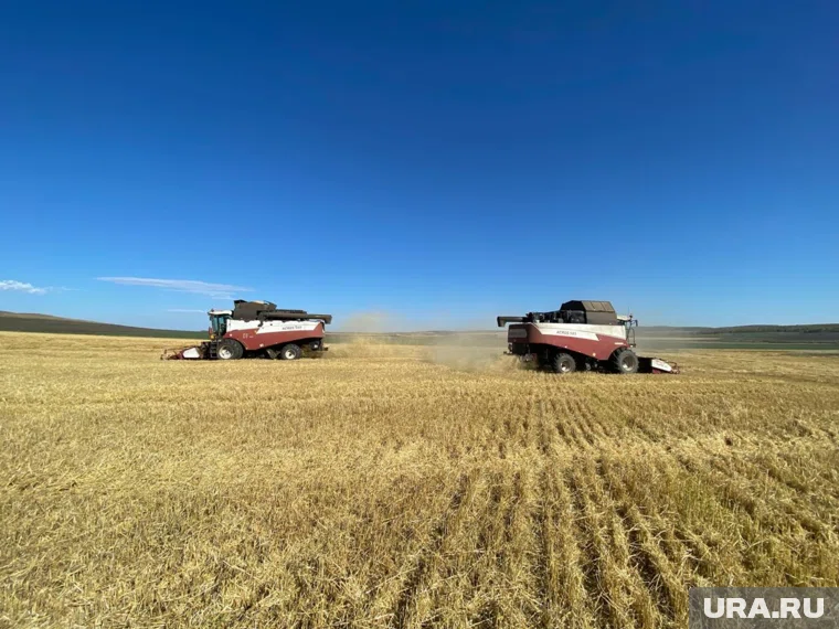 Челябинская область лидирует в АПК